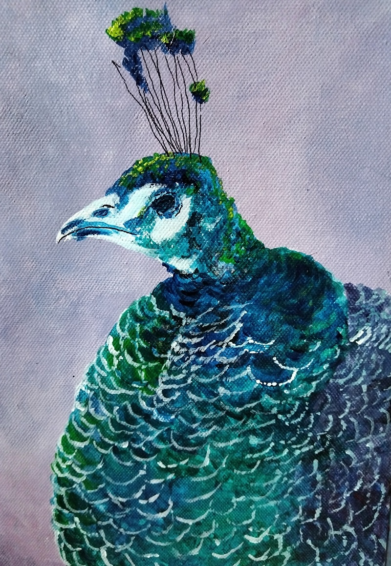 Peacock