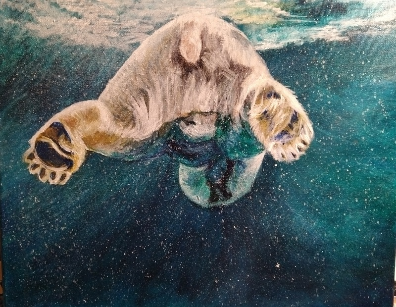 Polar Bear