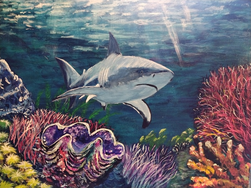 Shark