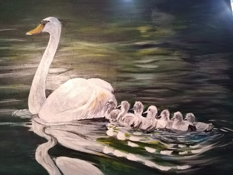 Swan