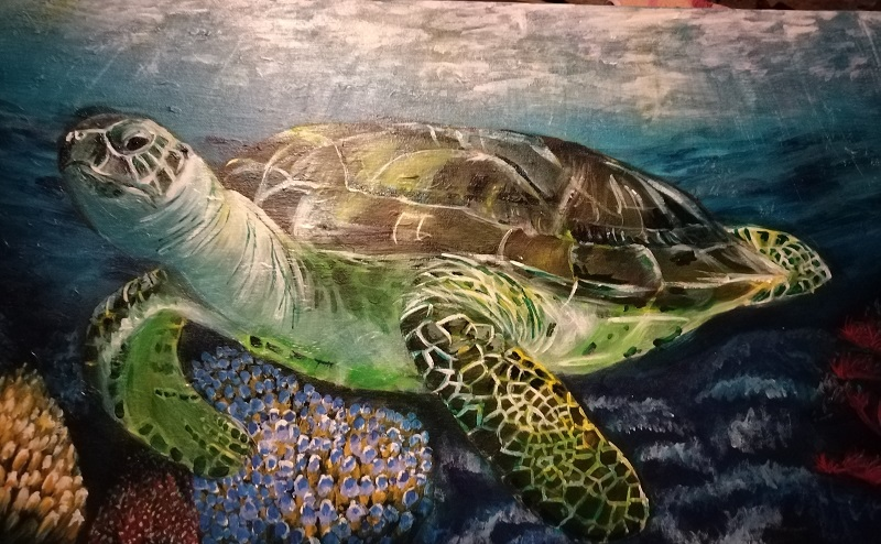 Turtle