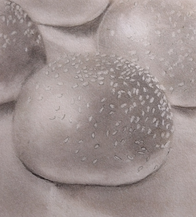 Jug