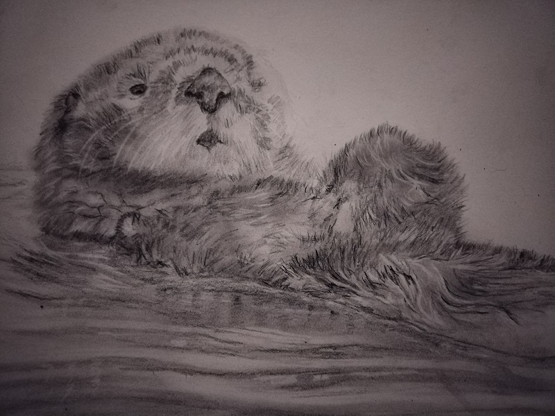Otter