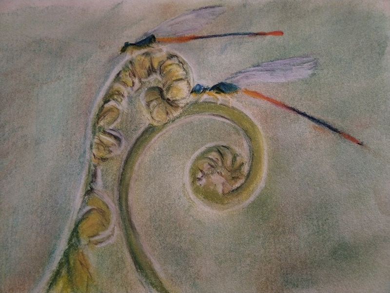 Dragonflies