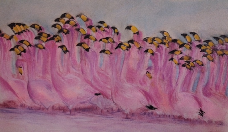 Flamingos