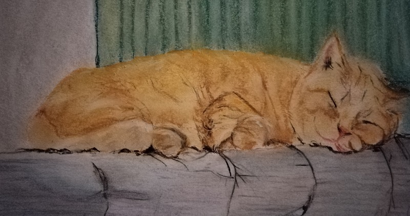 Ginger Cat
