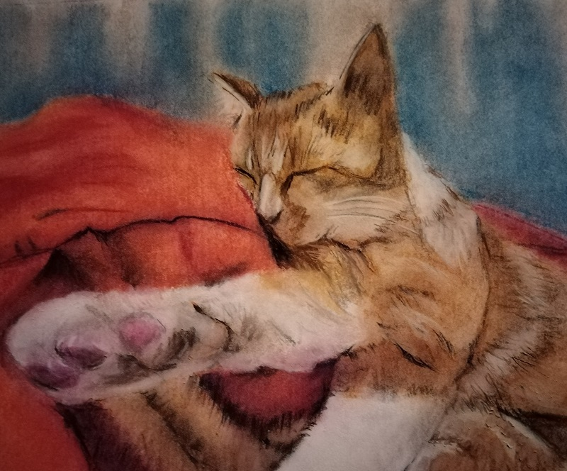 My Ginger Cat