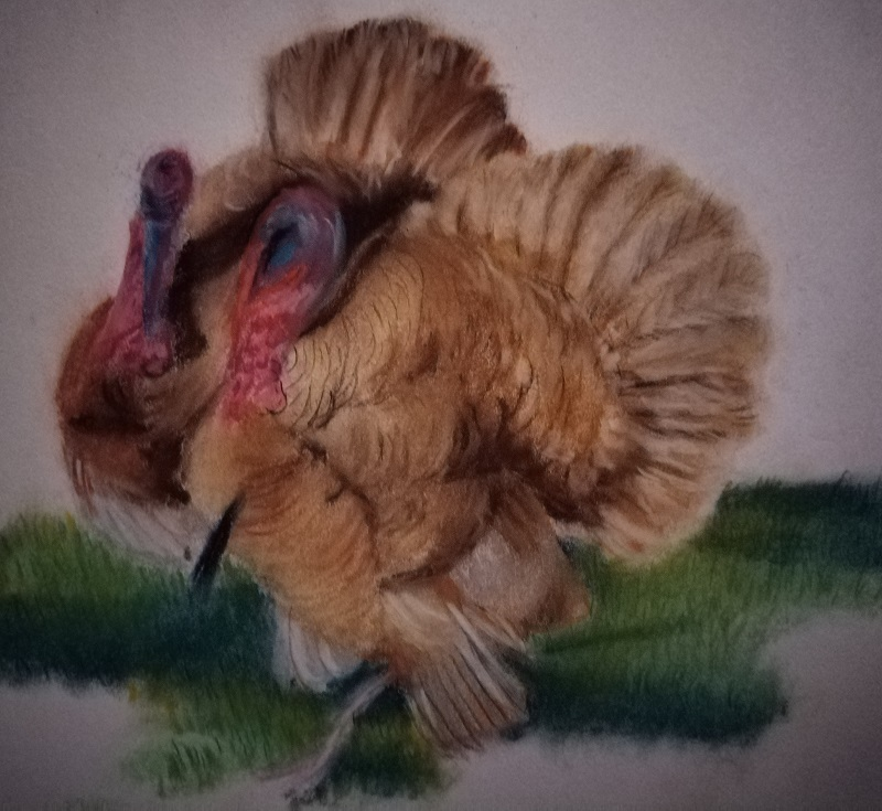 Turkey